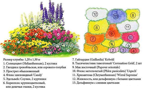 مخطط حديقة الزهور رقم 2