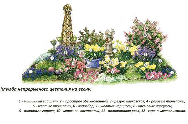 مخطط حديقة الزهور رقم 5