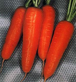 Karotten-Vitamin