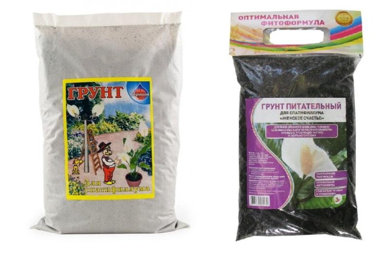 رعاية spathiphyllum اختيار التربة