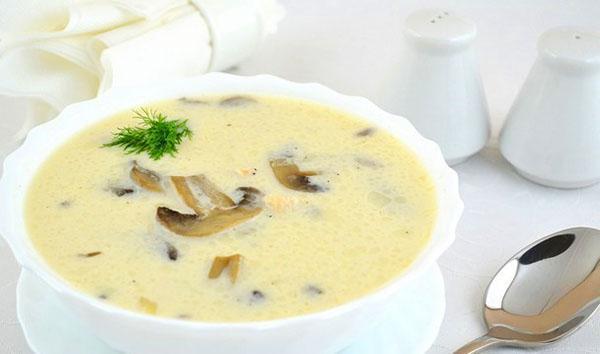 Suppe mit Champignons, Hühnchen und Käse