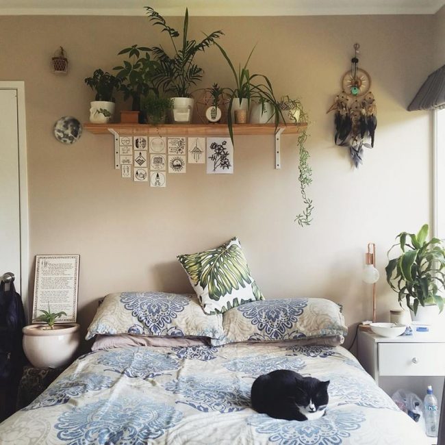 Așezați plantele oriunde în dormitorul dvs.