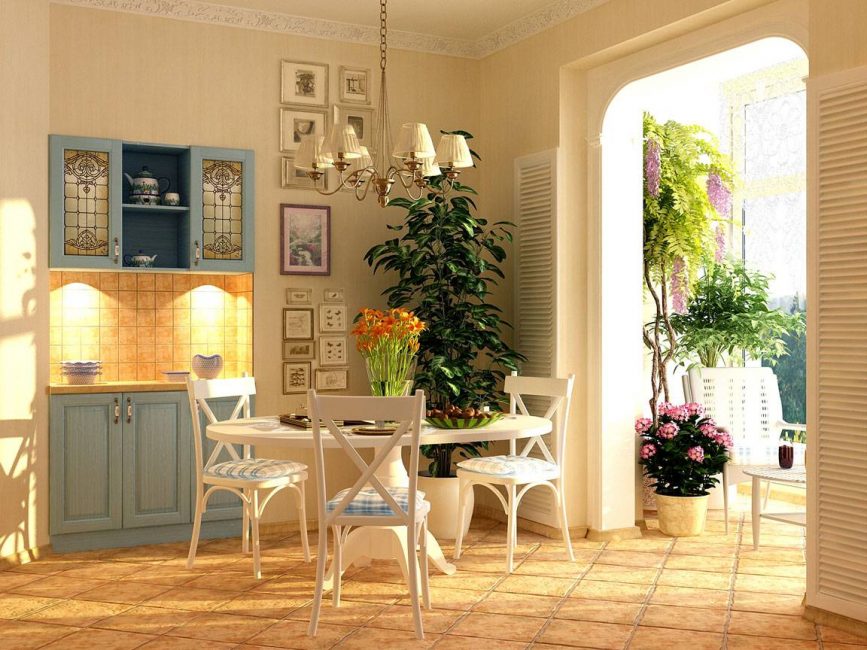 Vegetație maximă pentru o cameră în stil Provence