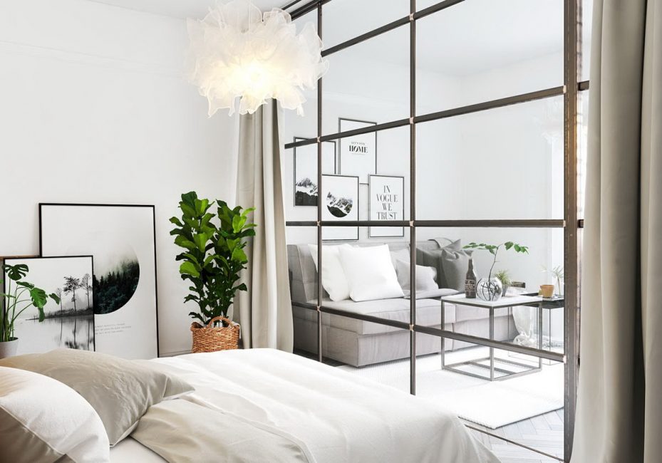 Accente pe plante pentru o cameră în stilul minimalismului
