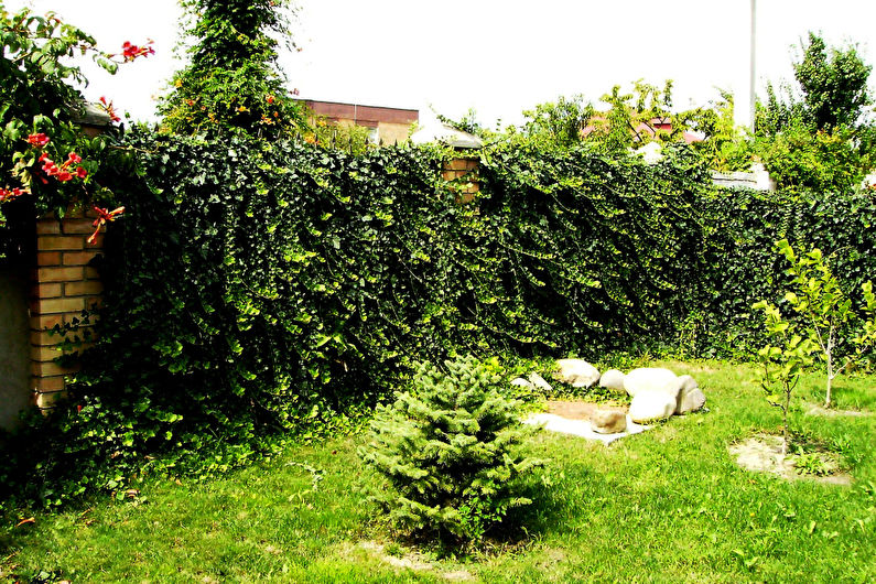 DIY trädgårdsdekorationer - Staket och staket