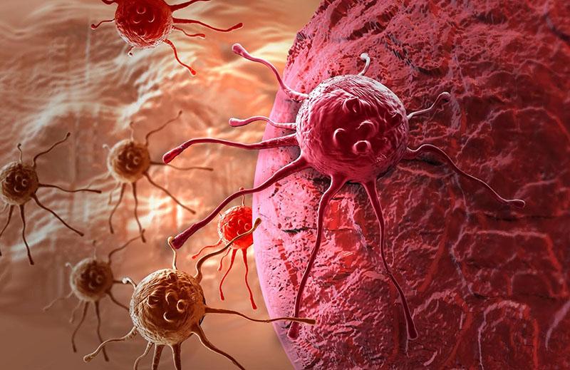 bojovat proti rakovinotvorným buňkám