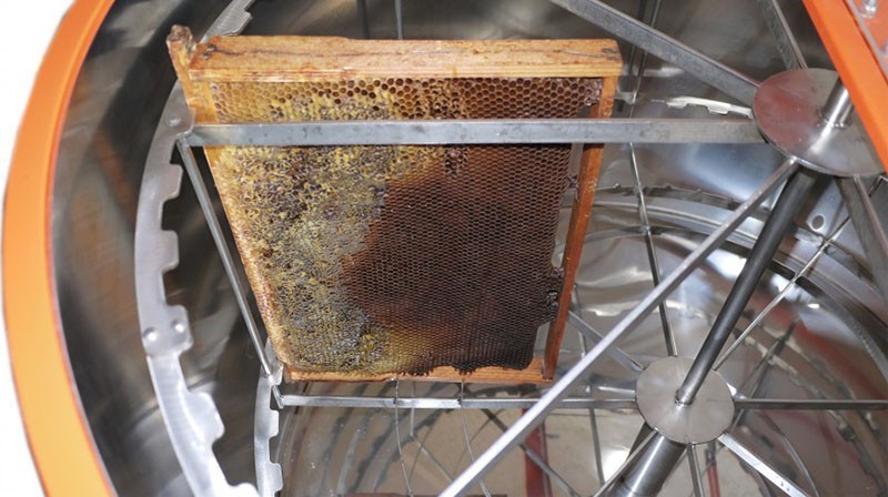 odrůdy modelů Granovského extraktoru medu