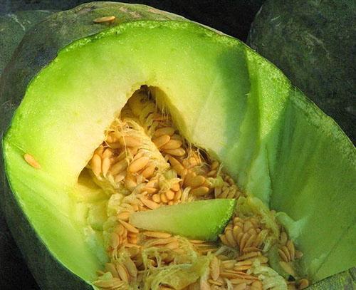 Bis zum Ende des Winters ist die winterharte Melone verzehrfertig.