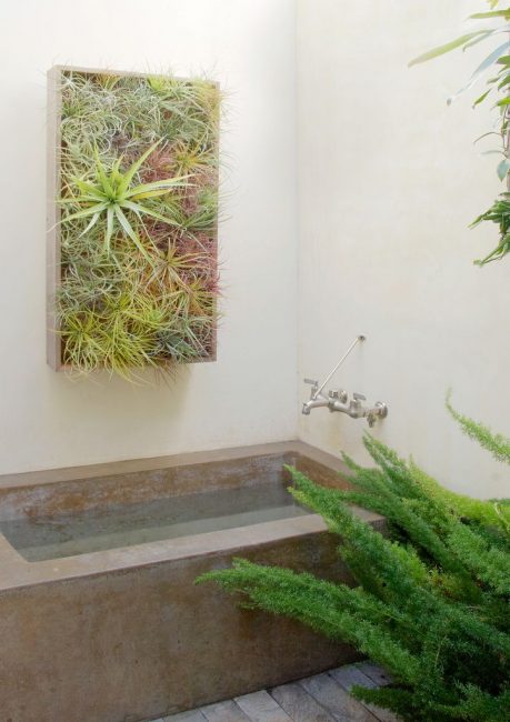 Bruk fuktighetselskende planter på badet ditt