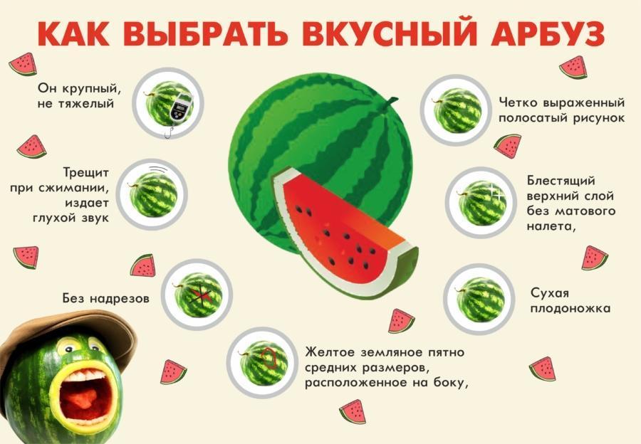 كيفية اختيار البطيخ اللذيذ