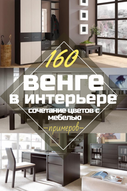 Wengé no interior: mais de 160 combinações de cores (fotos) com móveis (sala de estar, quarto, design de corredor)
