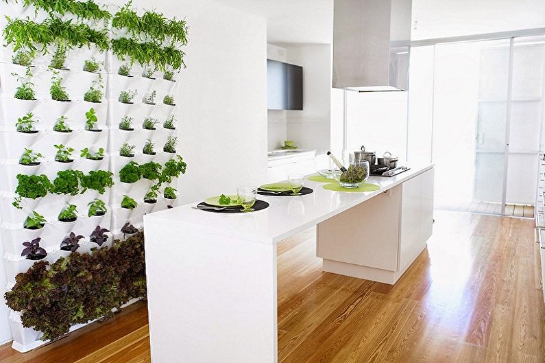 Jardinería vertical en el interior: qué elegir plantas para el interior.
