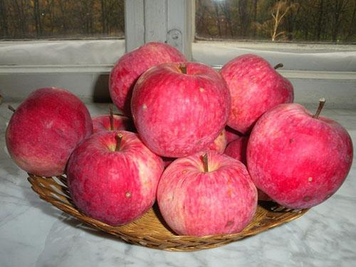 Äpfel aus Melba