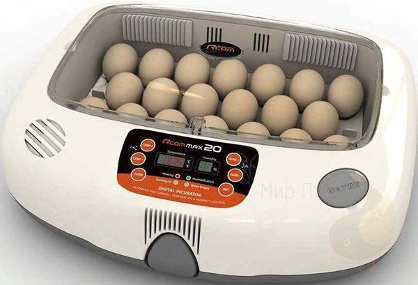 Inkubátor s automatickým otáčením vajec