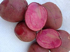 Bunte Kartoffeln mit rosa Fruchtfleisch
