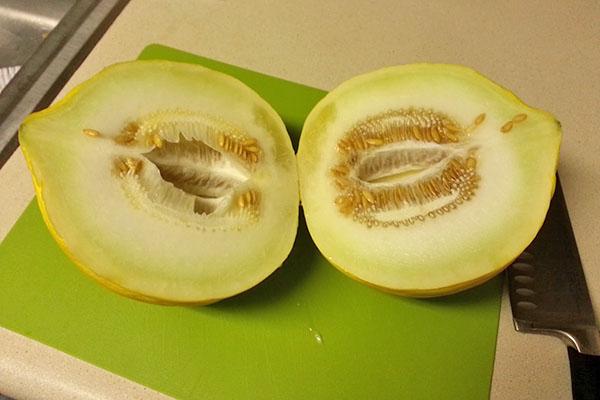Sommer-Cassaba-Melonen