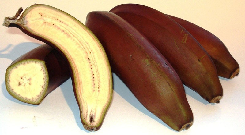 wilde Bananen