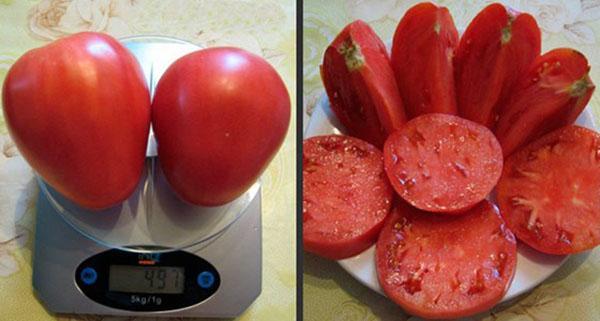 fleischige Tomatenfrucht