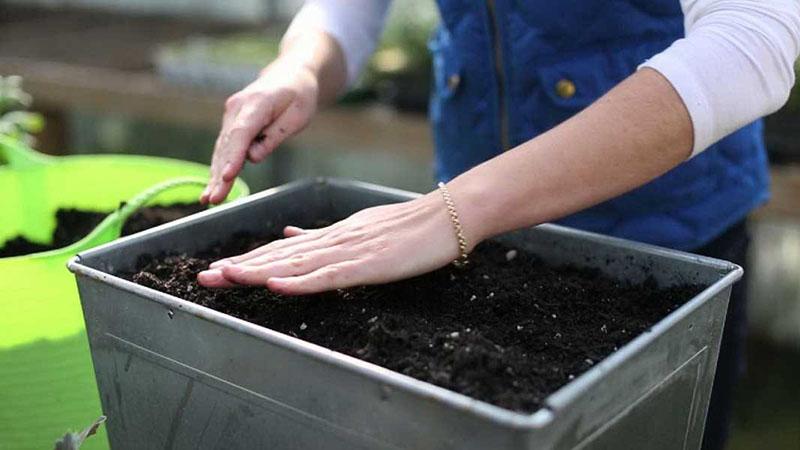 příprava půdy pro setí semen