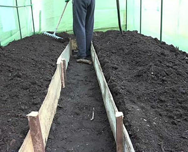 fruchtbarer Boden für Tomaten