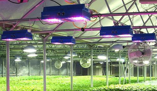 Zajištění světelných podmínek ve skleníku