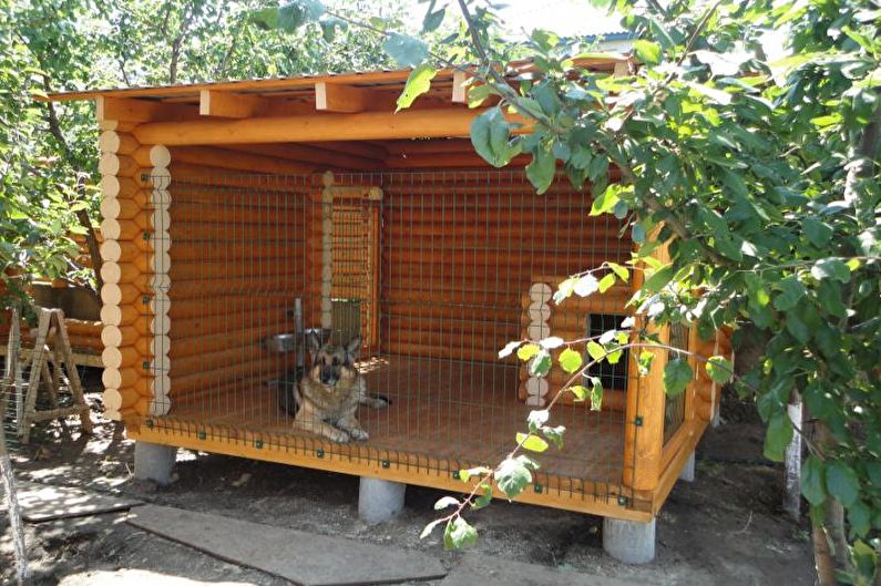 Πτηνοτροφείο σκύλου φτιάξτε μόνοι σας-φωτογραφία