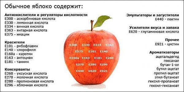 التركيب الكيميائي والطاقة للتفاح