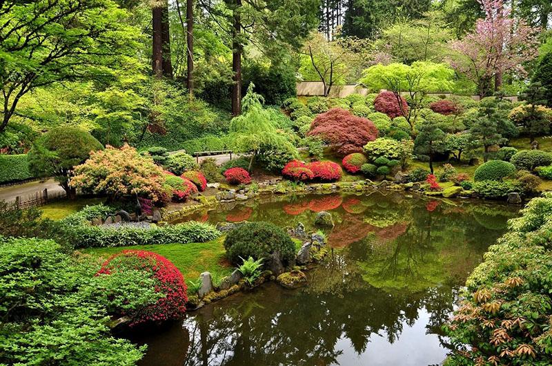 Děj v japonském stylu v krajinném designu