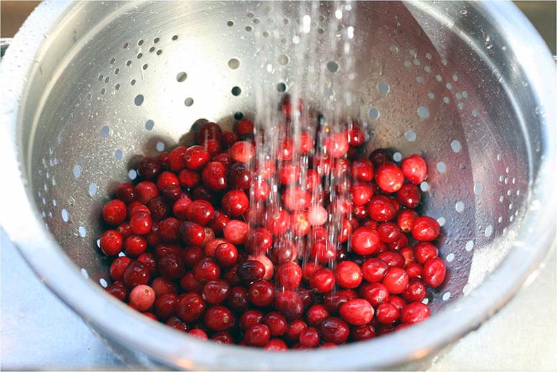 Preiselbeeren sortieren und waschen