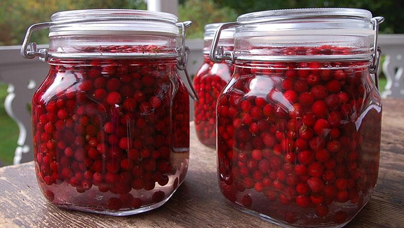 Preiselbeerrezepte für den Winter ohne Zucker