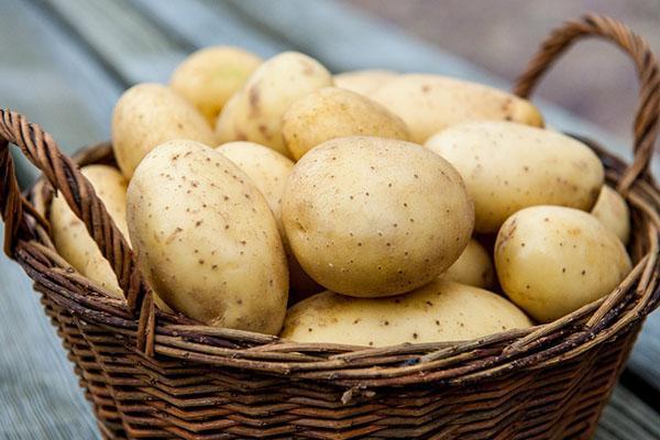 Kartoffelernte nach Behandlung mit Prestige