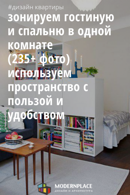 Zonindelning av vardagsrummet och sovrummet i samma rum (235+ fotodesigner)